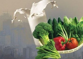 مواد غذایی مفید در زمان آلودگی هوا کدامند؟